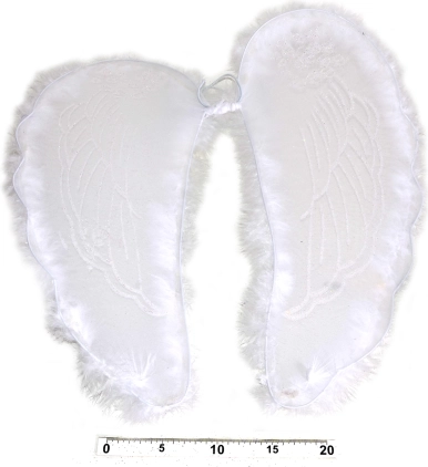 Alas de ángel con plumas 47 × 47 cm