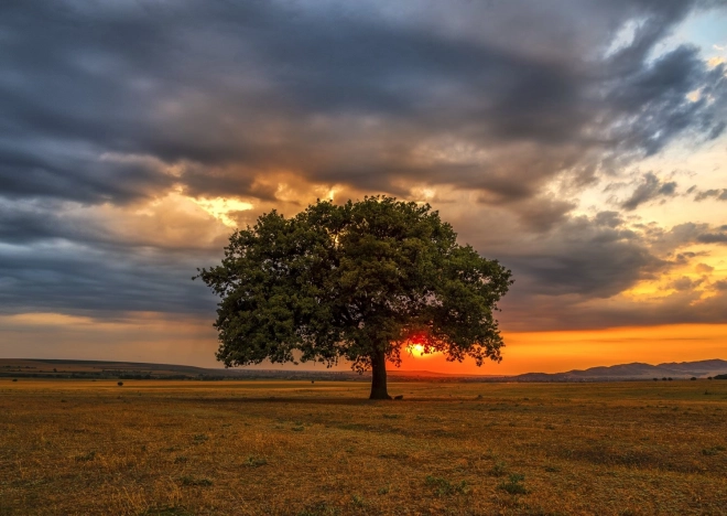 Puzle Atardecer 1000 piezas ENJOY