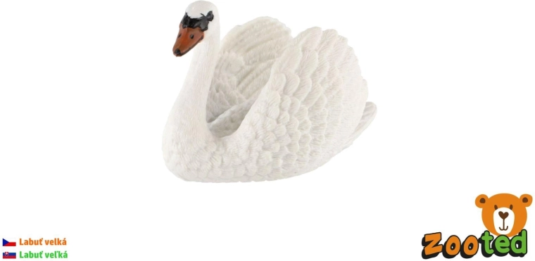 Figura de cisne vulgar