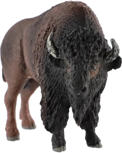 Animal de Norteamérica