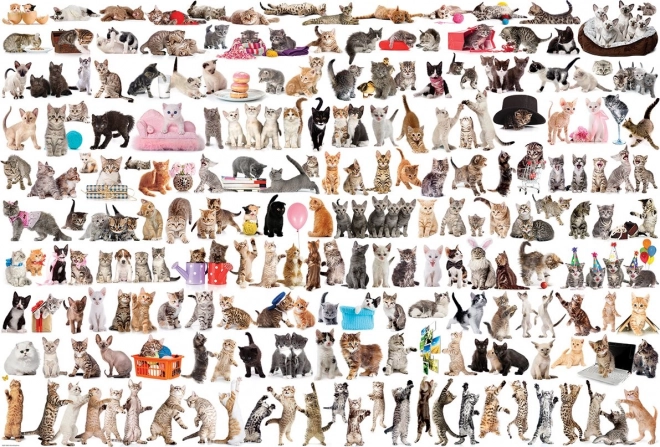 Puzzle EUROGRAPHICS mundo de gatos – 2000 piezas