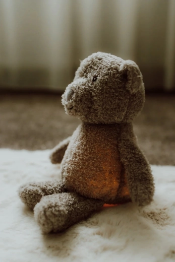 Compañero de peluche suave