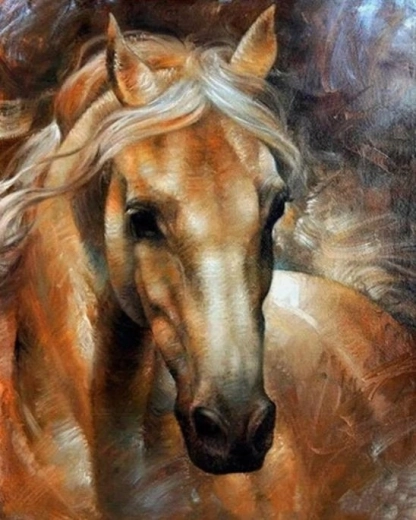 Norimpex pintura por números retrato de caballo 40 × 50 cm
