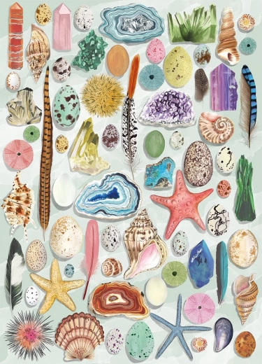 Puzzle Gibsons Curiosidades Naturales 1000 Piezas
