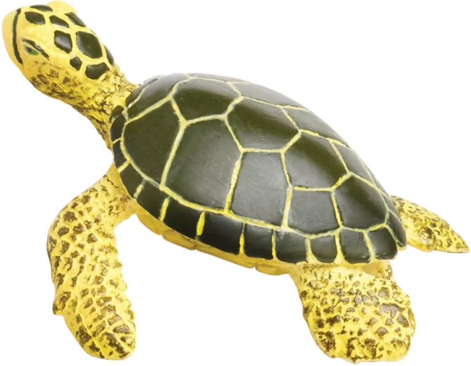 Ideal para aprender sobre la naturaleza y el océano