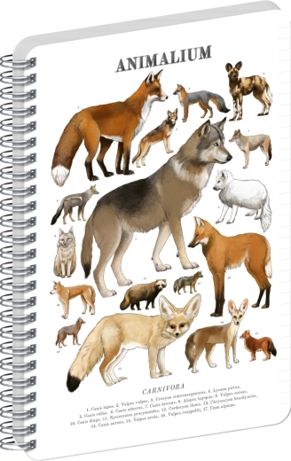 Bloc espiral Notique Animalium – cánidos salvajes, rayado, A4