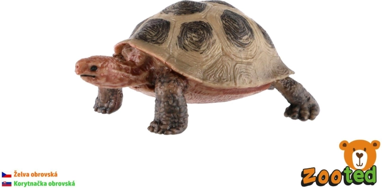 Figura de tortuga gigante de 8 cm