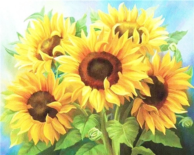 NORIMPEX Pintura por números Ramo de girasoles 40 × 50 cm