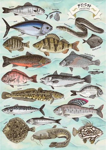 Puzzle TREFL Premium Plus Finders Keepers: peces 500 piezas