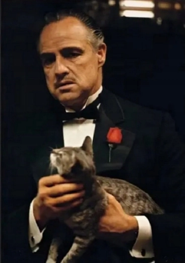 Norimpex Pintura por números El padrino con gato 40 × 50 cm