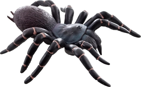 Tarántula de plástico: juguete realista para niños