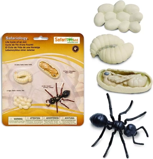Safari Ltd. ciclo de vida – hormiga