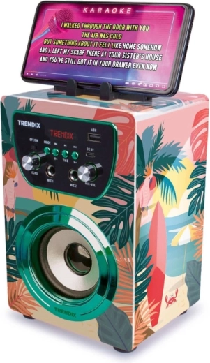 Conexión Bluetooth y karaoke desde el móvil