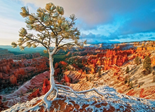 Puzzle EUROGRAPHICS amanecer invernal, Bryce Canyon (1000 piezas)