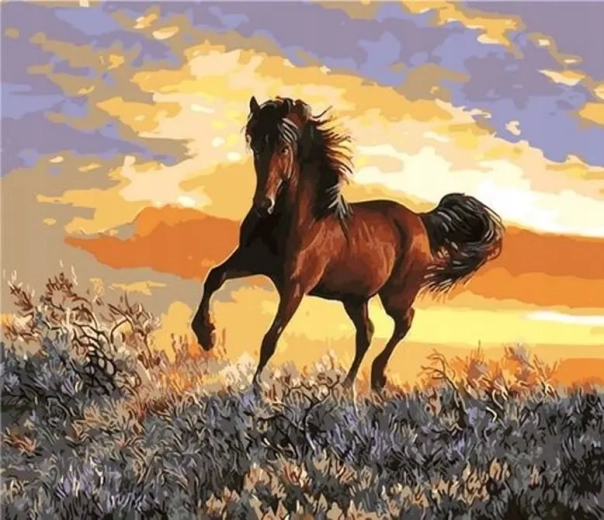 Norimpex pintura por números Caballo al atardecer 40 × 50 cm