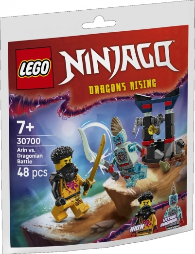 Bloques NINJAGO: batalla de Arin con el dragón