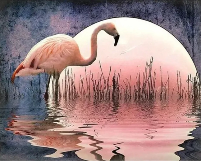 Norimpex Pintura por números Flamenco 40 × 50 cm