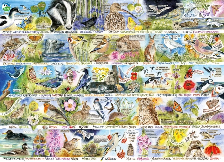 Puzzle GIBSONS RSPB El encanto de la naturaleza primaveral 1000 piezas
