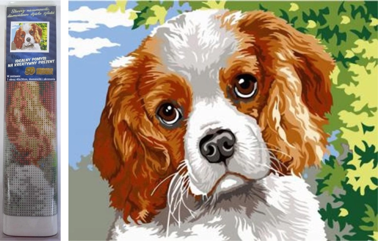 Pintura con diamantes – Ojos de perro 30 × 40 cm