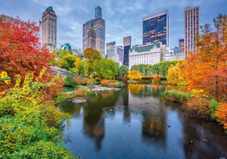 Puzzle Central Park de 500 piezas