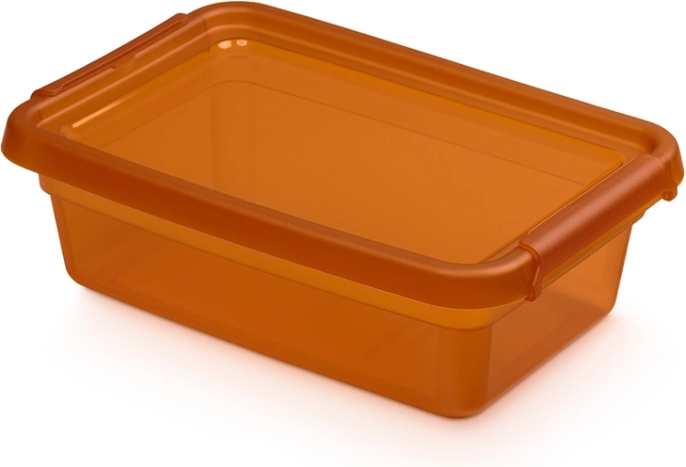 Basestore caja de almacenamiento con tapa y clips ámbar 3 l (19 × 28 × 9 cm)