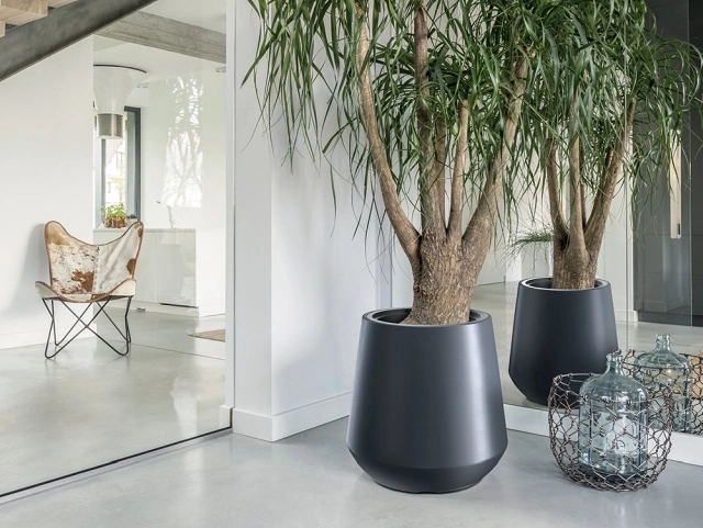 Diseño moderno para interior y exterior