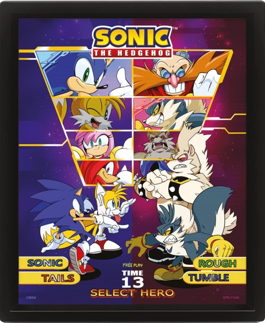 Cuadro 3D Sonic: Elige tu luchador