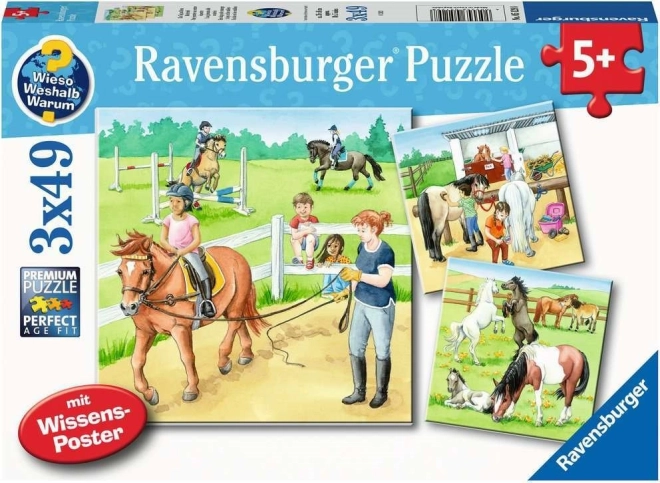 Puzzle Ravensburger Un día con caballos 3×49 piezas