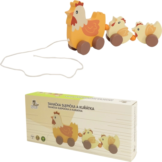 Gallina de arrastre con pollitos BABU