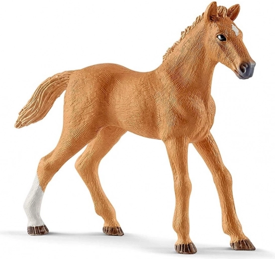 Caballos Appaloosa realistas