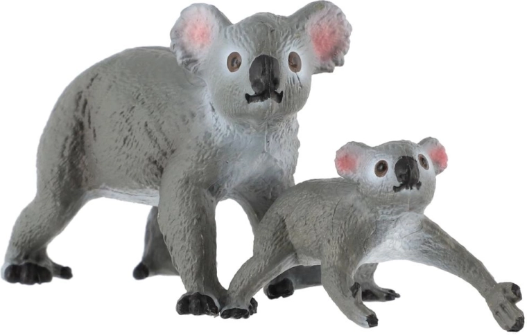 Koala con cría