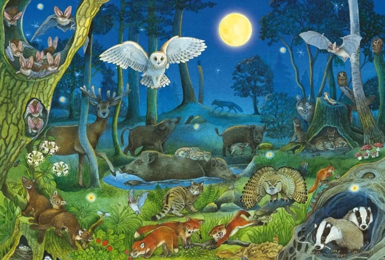 Puzzle Animales del bosque por la noche 100 piezas