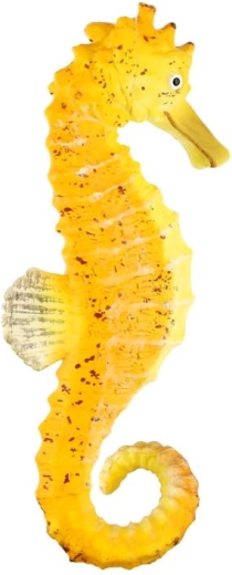 Tamaño compacto de 8 cm