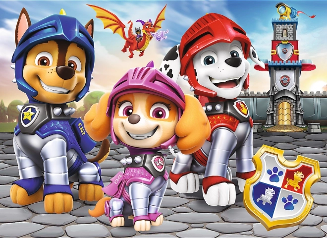 Puzzle miniMAXI PAW PATROL caballeros, 20 piezas