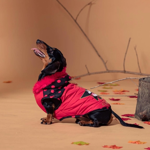 Ropa de invierno para perro Minnie, talla S