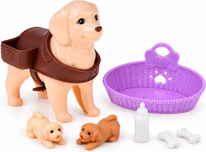 Accesorios para cuidar de la familia canina