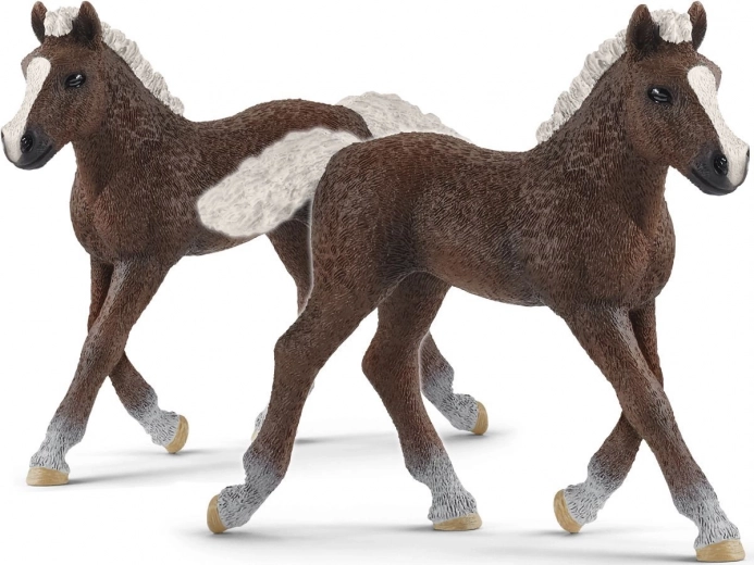 SCHLEICH HORSE CLUB potro de la Selva Negra – figura