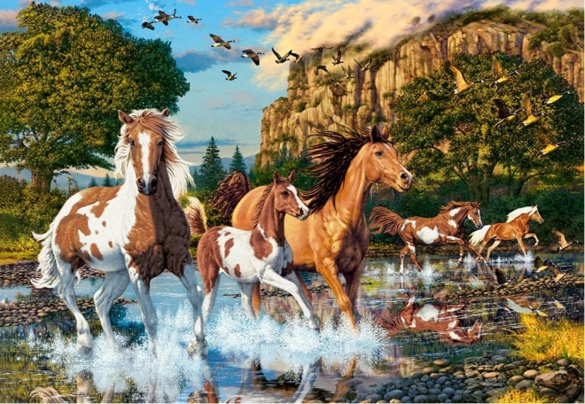 Puzle de 1000 piezas – caballos