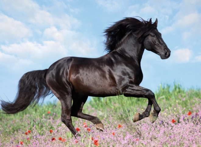 Puzzle Ravensburger Caballos hermosos 200 piezas