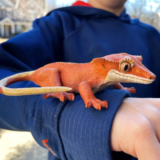 Escala 1:1 – como un gecko real