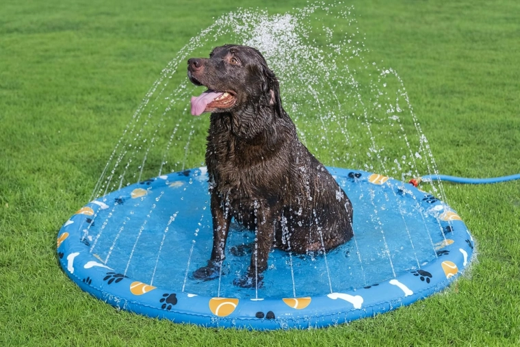 Suaves chorros de agua alrededor del borde para refrescarse en verano