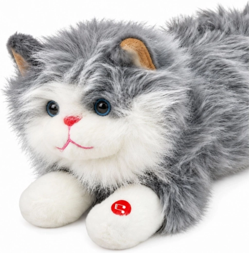 Adorable aspecto gris y blanco