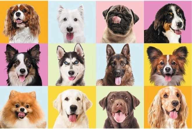 Puzzle de 60 piezas – adorables cachorritos TREFL