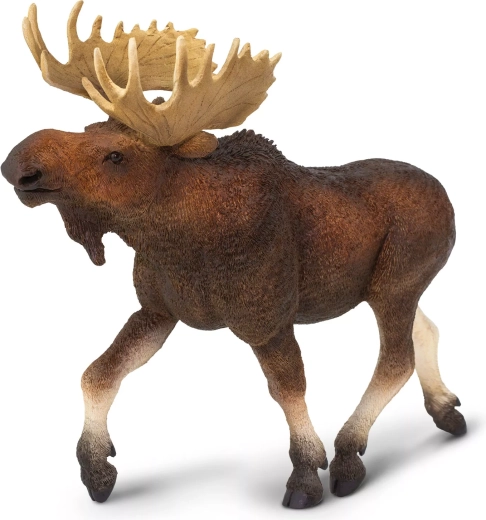 Safari Ltd. alce europeo - 1 pieza