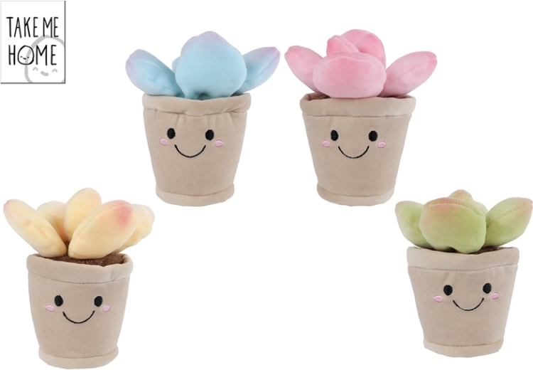 Planta de peluche suculenta 13 cm