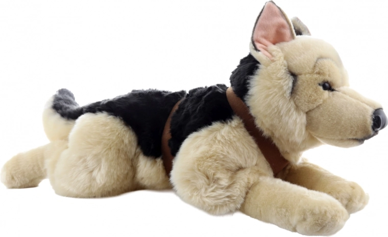 Práctica posición tumbada con arnés