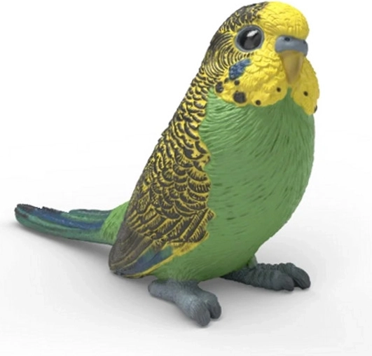 Periquito Schleich