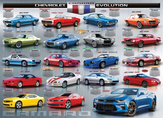 EUROGRAPHICS Puzzle Evolución de las cámaras 1000 piezas