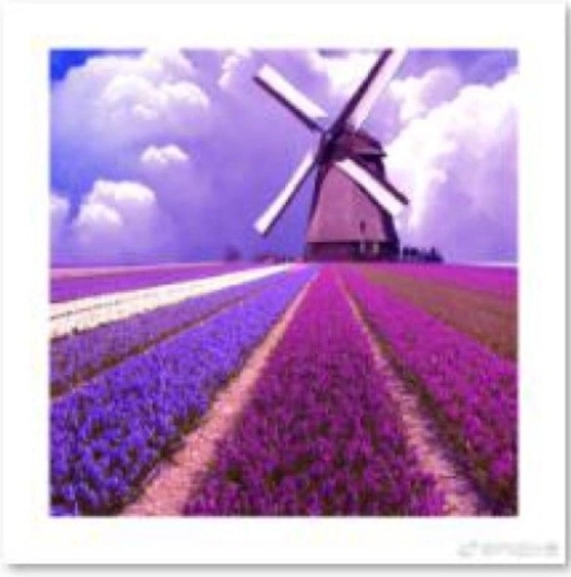 Pintura de diamantes – molino de viento en un campo de lavanda 30 × 30 cm