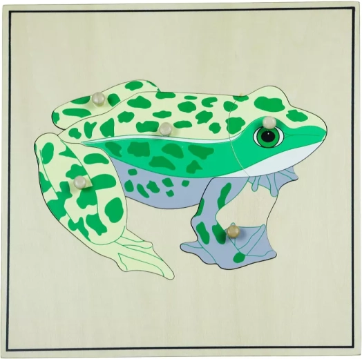 Puzzle con esqueleto – rana